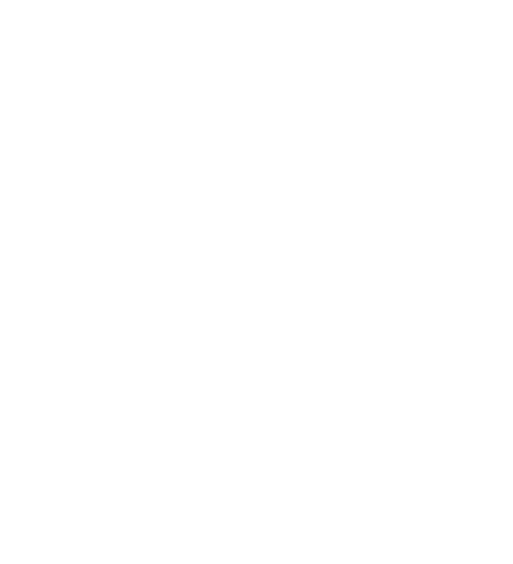 Fractional Experts - Agile Solutions